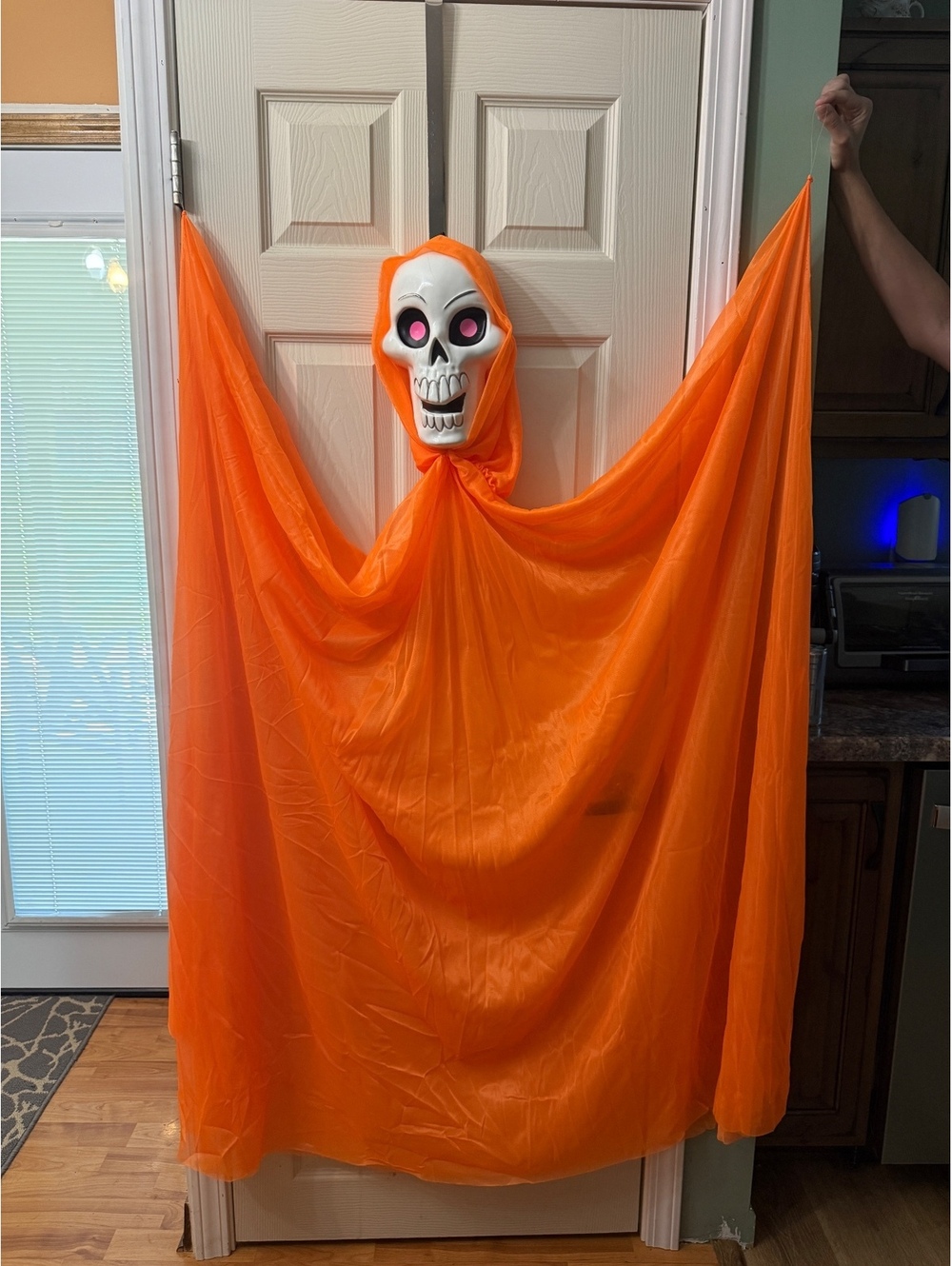 Hanging Halloween Skull Decoration